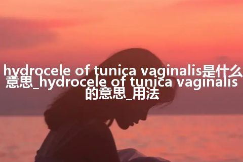 hydrocele of tunica vaginalis是什么意思_hydrocele of tunica vaginalis的意思_用法