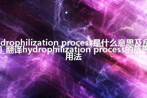 hydrophilization process是什么意思及反义词_翻译hydrophilization process的意思_用法