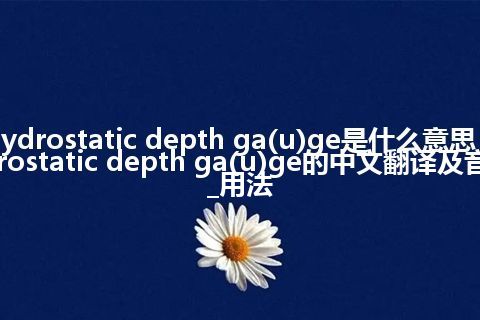 hydrostatic depth ga(u)ge是什么意思_hydrostatic depth ga(u)ge的中文翻译及音标_用法