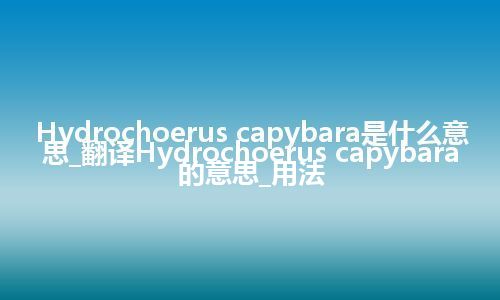 Hydrochoerus capybara是什么意思_翻译Hydrochoerus capybara的意思_用法