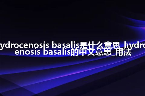 hydrocenosis basalis是什么意思_hydrocenosis basalis的中文意思_用法