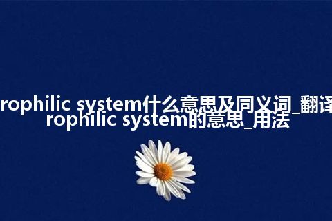 hydrophilic system什么意思及同义词_翻译hydrophilic system的意思_用法