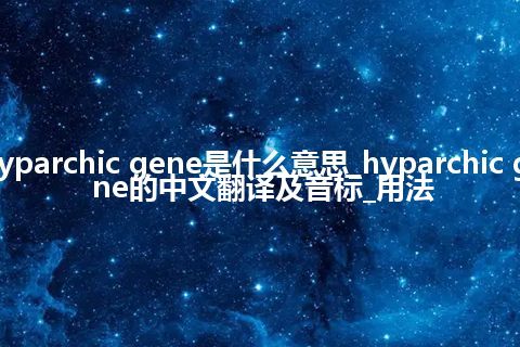hyparchic gene是什么意思_hyparchic gene的中文翻译及音标_用法