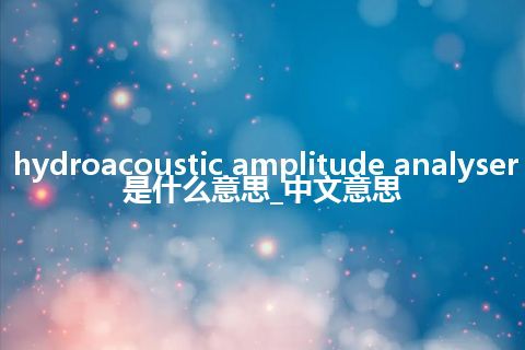 hydroacoustic amplitude analyser是什么意思_中文意思
