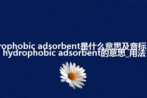 hydrophobic adsorbent是什么意思及音标_翻译hydrophobic adsorbent的意思_用法