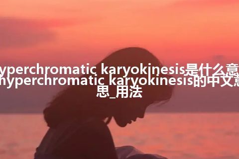 hyperchromatic karyokinesis是什么意思_hyperchromatic karyokinesis的中文意思_用法