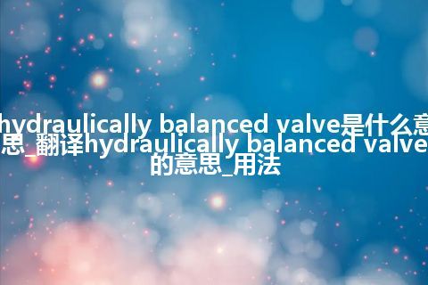 hydraulically balanced valve是什么意思_翻译hydraulically balanced valve的意思_用法