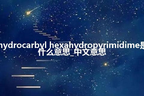 hydrocarbyl hexahydropyrimidime是什么意思_中文意思