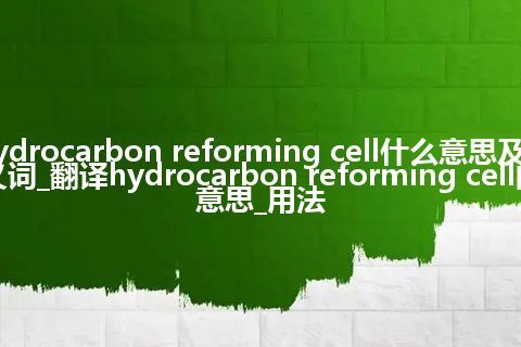 hydrocarbon reforming cell什么意思及同义词_翻译hydrocarbon reforming cell的意思_用法