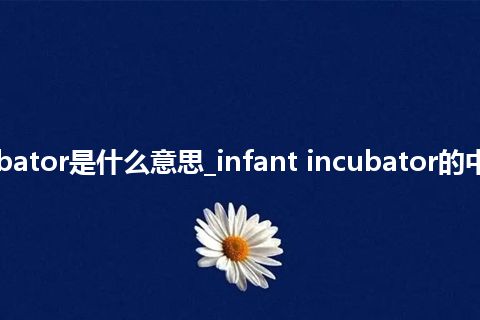 infant incubator是什么意思_infant incubator的中文释义_用法