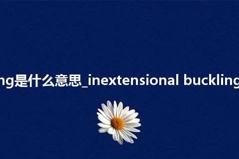 inextensional buckling是什么意思_inextensional buckling的中文翻译及用法_用法