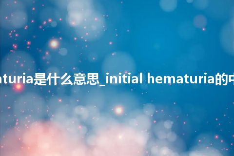 initial hematuria是什么意思_initial hematuria的中文意思_用法
