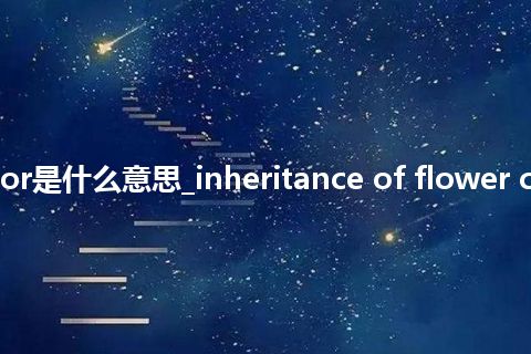 inheritance of flower color是什么意思_inheritance of flower color的中文翻译及音标_用法