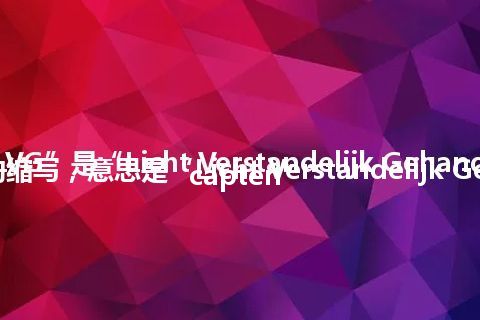 “LVG”是“Licht Verstandelijk Gehandicapten”的缩写，意思是“Licht Verstandelijk Gehandicapten”