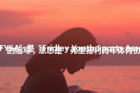 “FYSA”是“Fridley Youth Sports Association”的缩写，意思是“弗里德利青年体育协会”