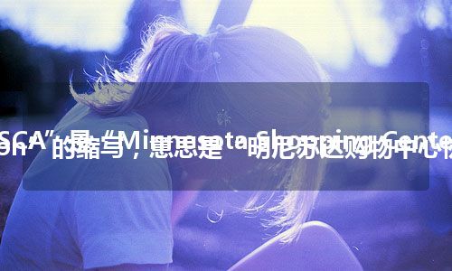 “MSCA”是“Minnesota Shopping Center Association”的缩写，意思是“明尼苏达购物中心协会”