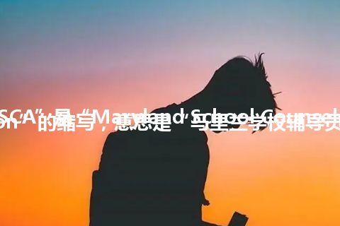 “MSCA”是“Maryland School Counselor Association”的缩写，意思是“马里兰学校辅导员协会”