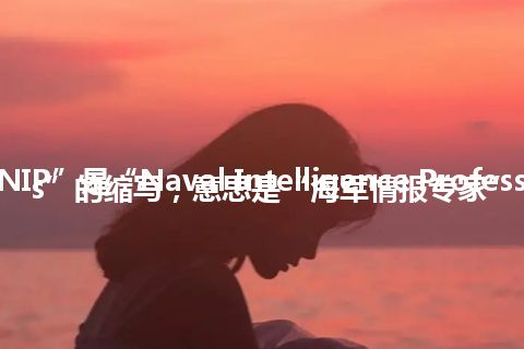 “NIP”是“Naval Intelligence Professionals”的缩写，意思是“海军情报专家”