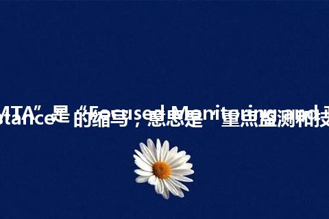 “FMTA”是“Focused Monitoring and Technical Assistance”的缩写，意思是“重点监测和技术援助”