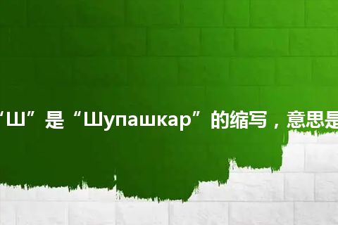 “Ш”是“Шупашкар”的缩写，意思是“_”