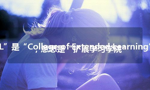 “CEL”是“College of Extended Learning”的缩写，意思是“扩展学习学院”