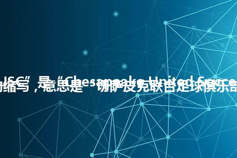 “CUSC”是“Chesapeake United Soccer Club”的缩写，意思是“切萨皮克联合足球俱乐部”