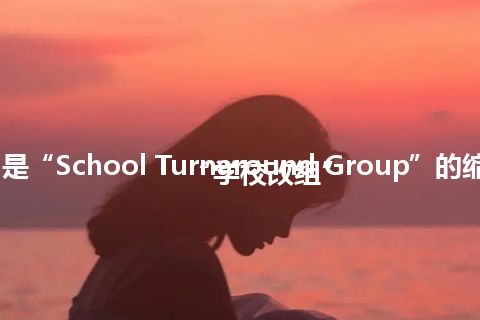“STG”是“School Turnaround Group”的缩写，意思是“学校改组”