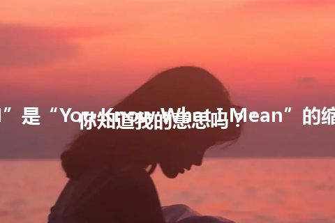 “YKWIM”是“You Know What I Mean”的缩写，意思是“你知道我的意思吗？”