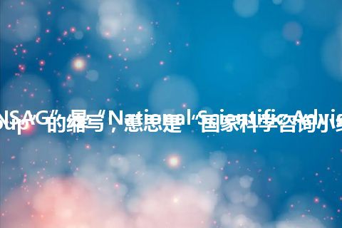 “NSAG”是“National Scientific Advisory Group”的缩写，意思是“国家科学咨询小组”