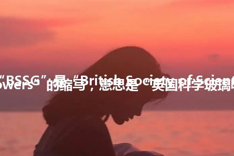 “BSSG”是“British Society of Scientific Glassblowers”的缩写，意思是“英国科学玻璃吹制协会”