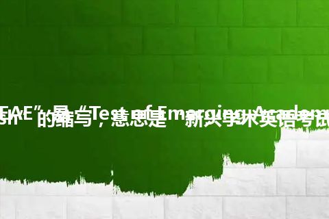 “TEAE”是“Test of Emerging Academic English”的缩写，意思是“新兴学术英语考试”