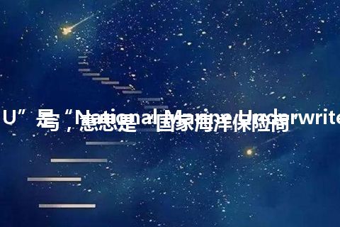 “NMU”是“National Marine Underwriters”的缩写，意思是“国家海洋保险商”