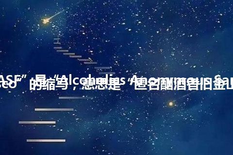 “AASF”是“Alcoholics Anonymous San Francisco”的缩写，意思是“匿名酗酒者旧金山”