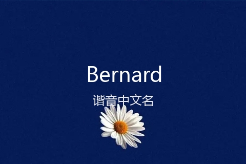 英文名Bernard的谐音中文名