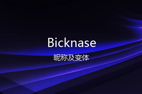 英文名Bicknase的昵称及变体