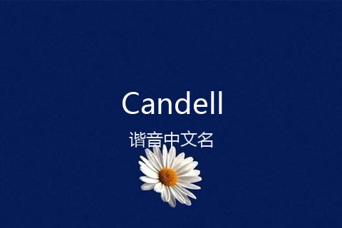 英文名Candell的谐音中文名