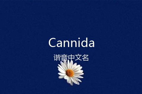 英文名Cannida的谐音中文名