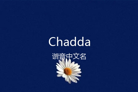 英文名Chadda的谐音中文名