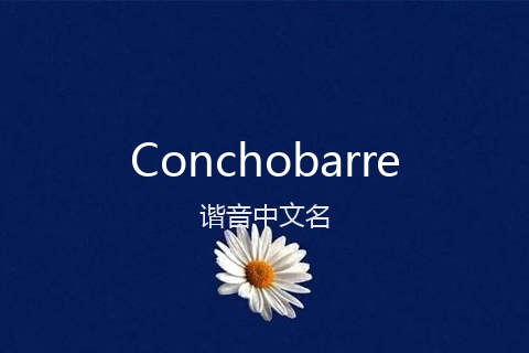 英文名Conchobarre的谐音中文名