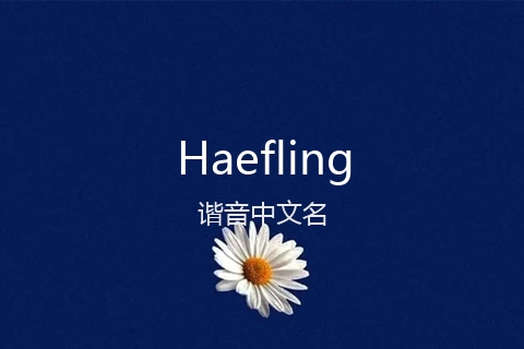 英文名Haefling的谐音中文名