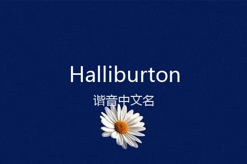 英文名Halliburton的谐音中文名
