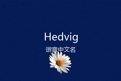 英文名Hedvig的谐音中文名