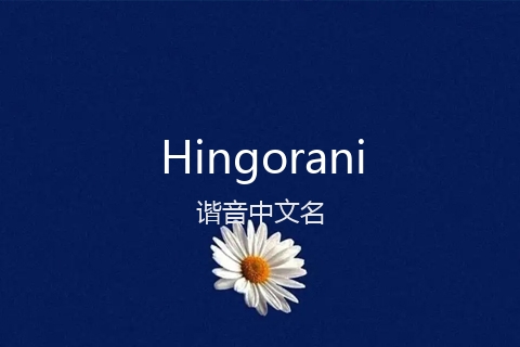英文名Hingorani的谐音中文名