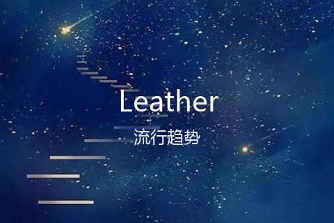 英文名Leather的流行趋势