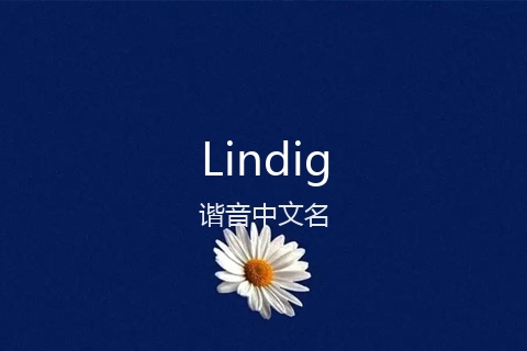 英文名Lindig的谐音中文名