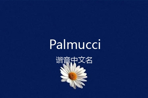 英文名Palmucci的谐音中文名