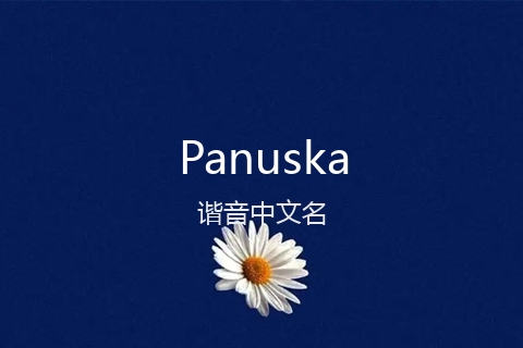 英文名Panuska的谐音中文名