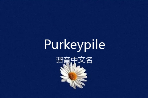 英文名Purkeypile的谐音中文名