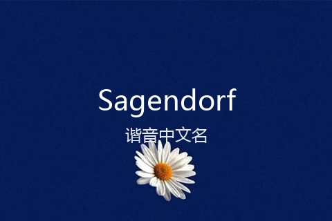 英文名Sagendorf的谐音中文名