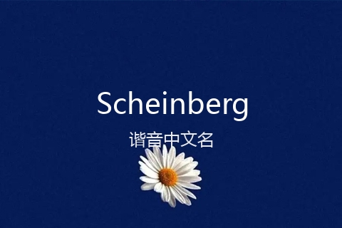 英文名Scheinberg的谐音中文名